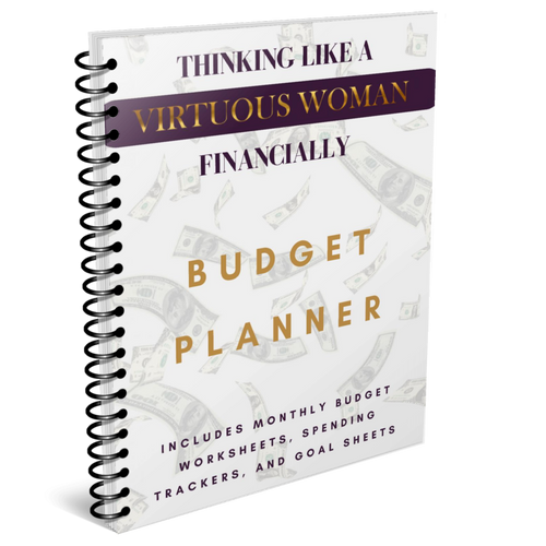 Thinking Like a VIRTUOUS Woman 12- Month Budget Planner